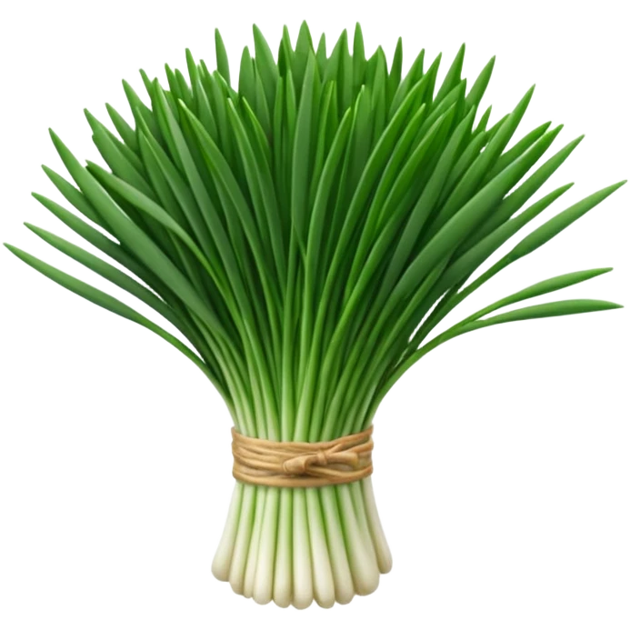 chives for chefs emoji