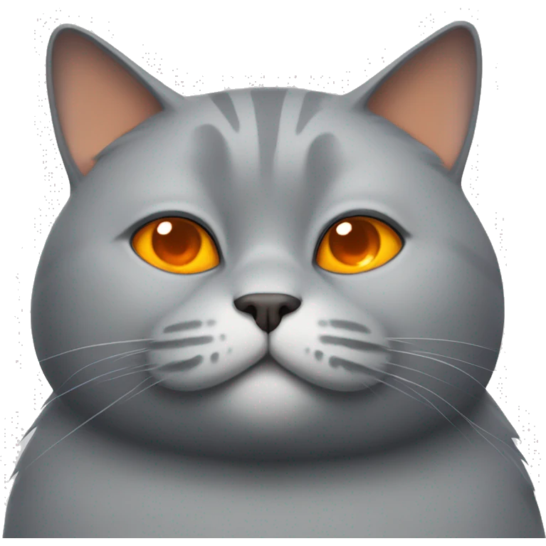 Grey fat cat with orange eyes emoji