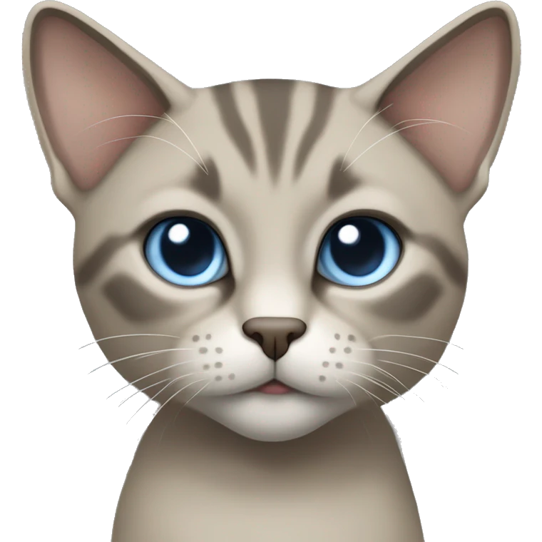 Thai breed cat with a light cream-brown body, dark gray face, ears, and paws. Short fur, sharp ears, and striking light blue eyes with an intense gaze. emoji
