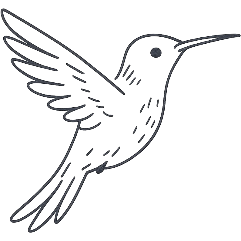 hand drawn black and white outlined hummingbird, no fill emoji