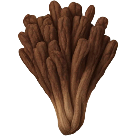 dried clove emoji