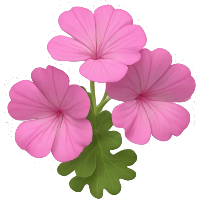 Pink geranium emoji