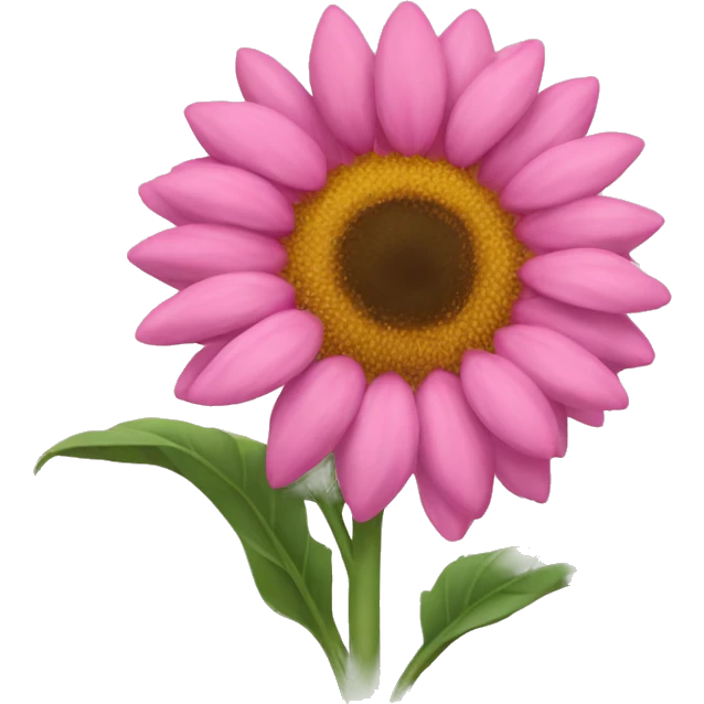 Girasol rosa emoji