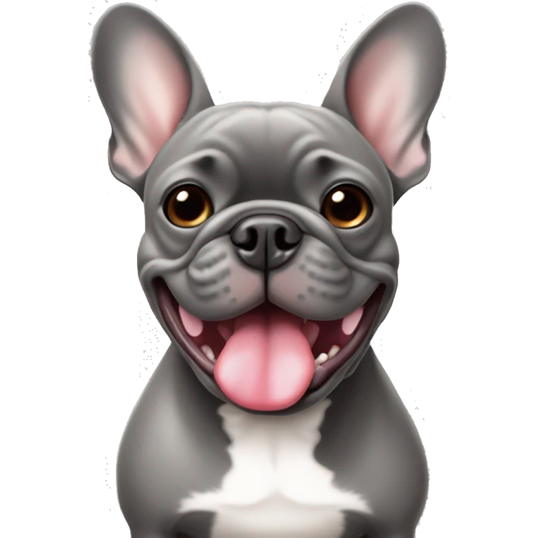 Grey french bulldog with tongue sticking out closed mouth emoji