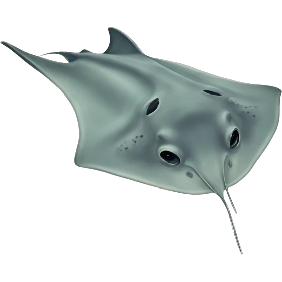 cownose stingray  emoji