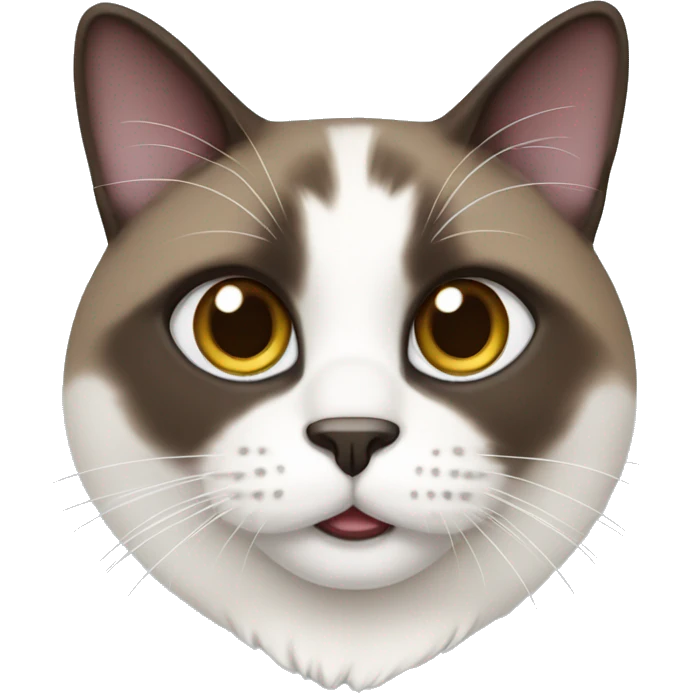 snowshoe cat emoji