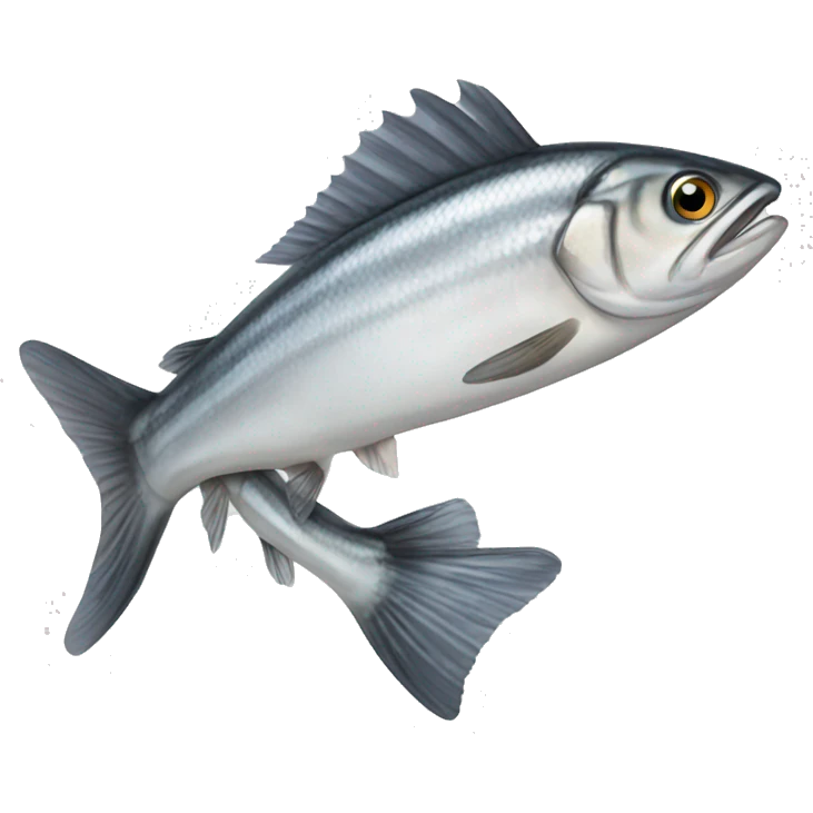Atlantic herring  emoji