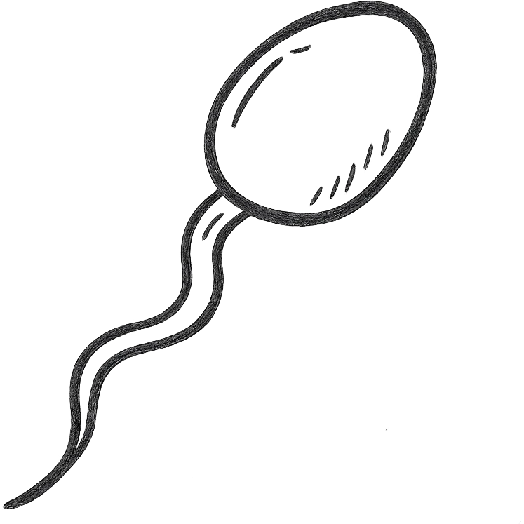 hand drawn outlined spermatozoid icon emoji