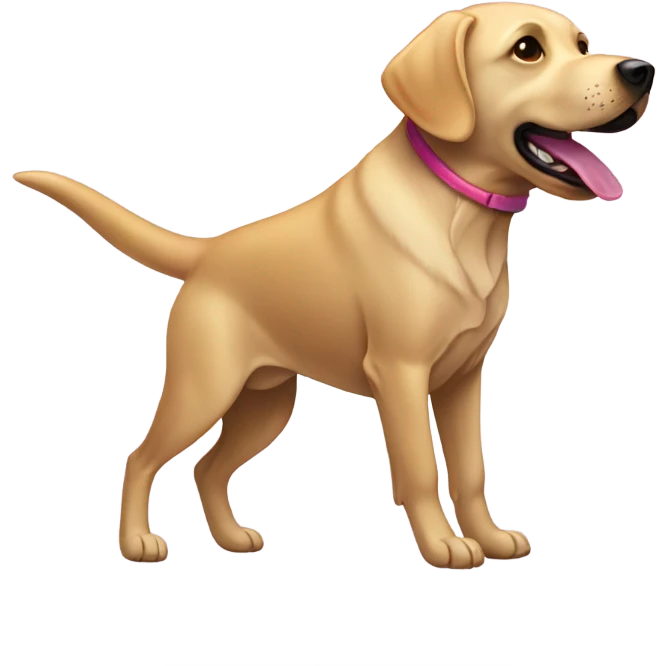Ombre Labrador throwing a Frisbee   emoji