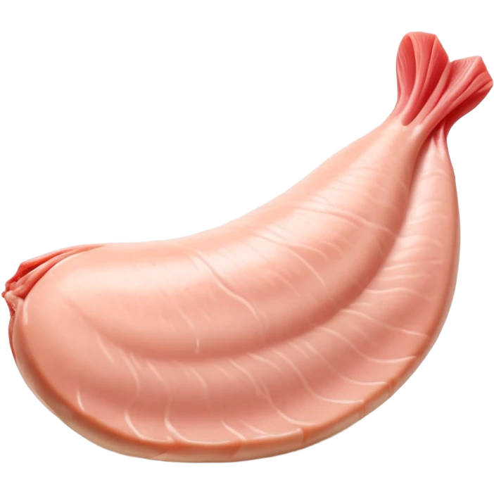 raw chicken fillet, boneless, tapered, pale pink, smooth, glossy, moist, muscle grain, gentle curves, fresh, lean, flat or curved, no plate, packaging, extra elements, or faces, clean 3D rendering, soft shadows, transparent background, emoji scale emoji