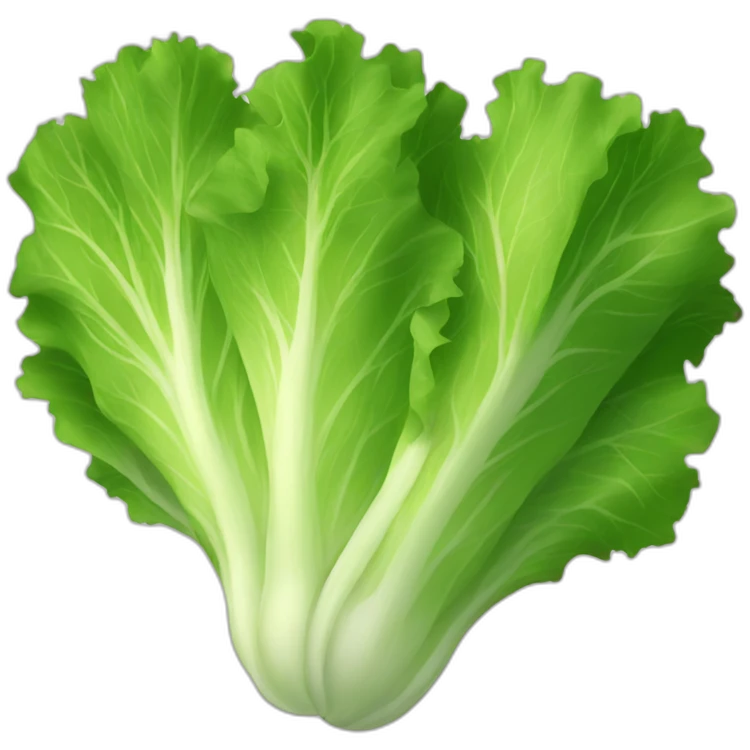 lettuce emoji