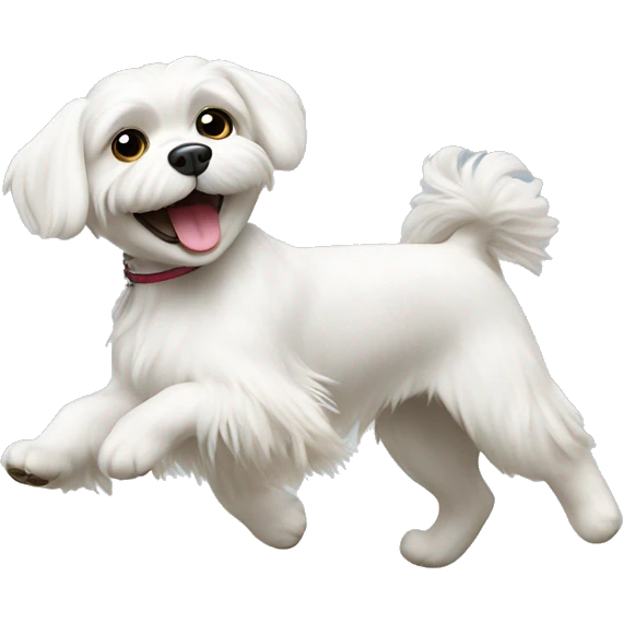 White Maltese dog dancing  emoji