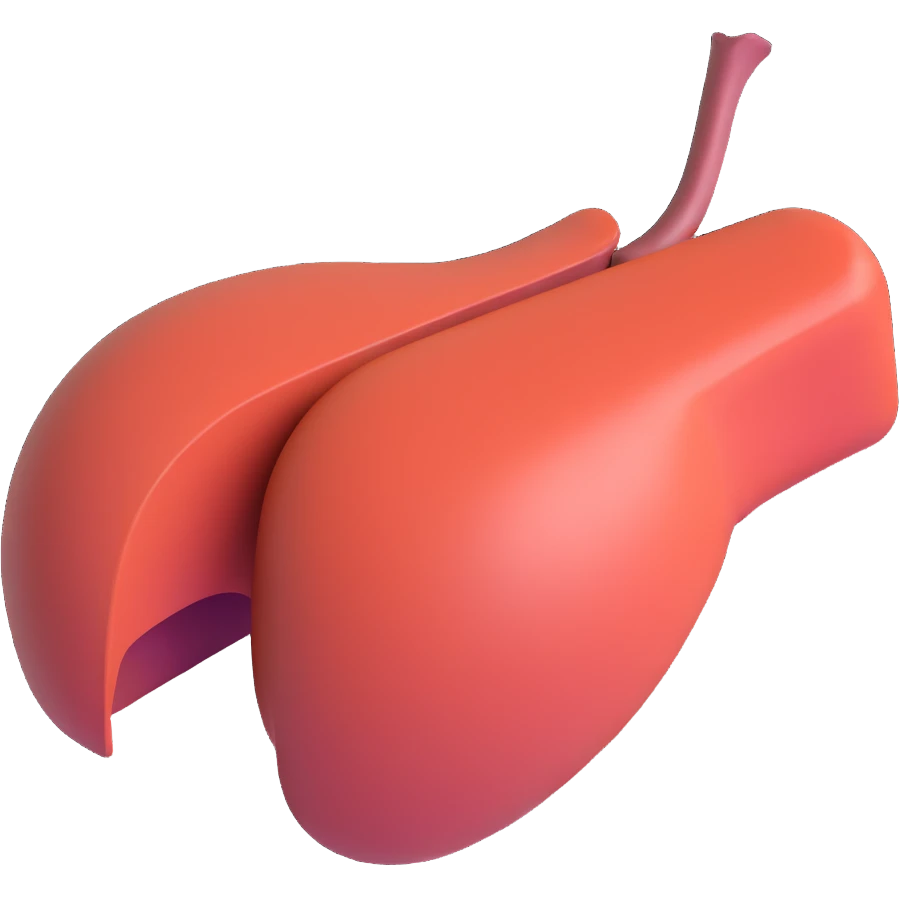 liver emoji