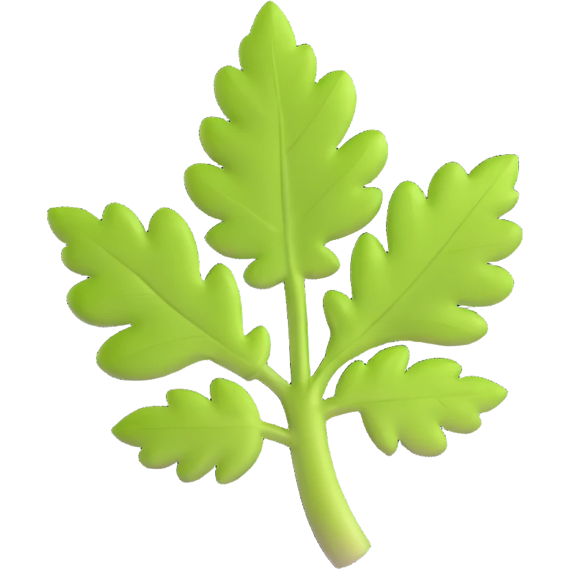 cilantro leaf, clean, minimal, cute, well-lit, soft shadow, white background emoji