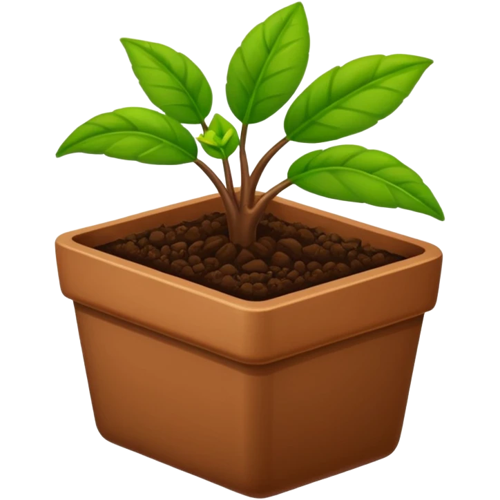 plantas en macetas rectangulares color café emoji