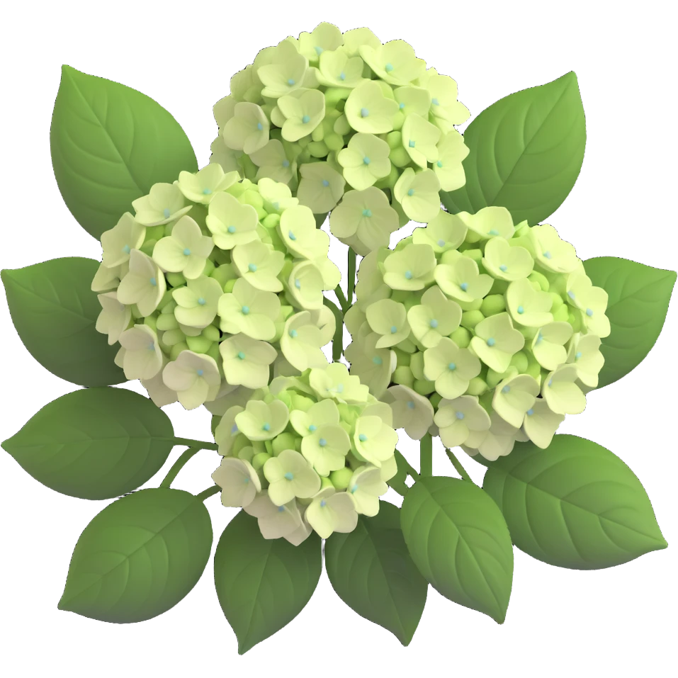 Charming hydrangea flower with kawaii style, soft rounded flower clusters in pretty pastel colors, and cute green leaves emoji