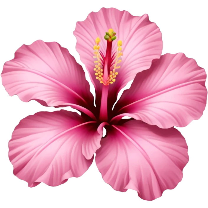 ￼Baby pink Hibiscus flower  emoji