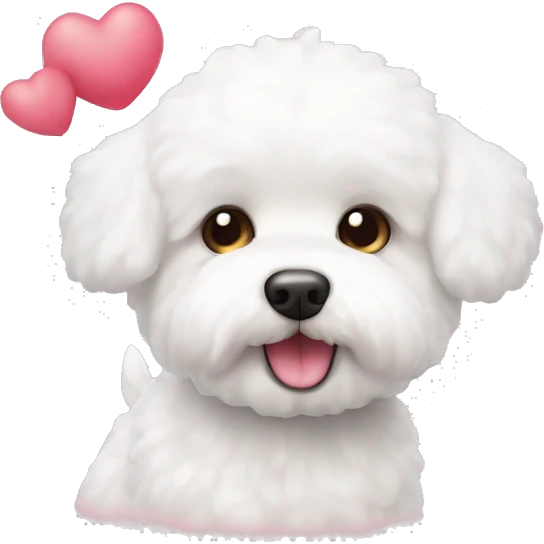 Bichon maltes con corazones  emoji