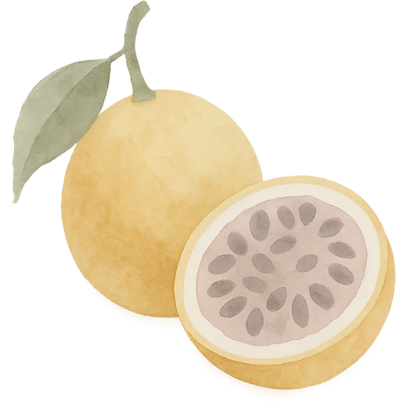 maracujá fruit, watercolor style, soft edges, natural colors, artistic look emoji