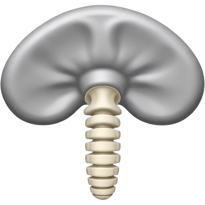 intervertebral disk emoji