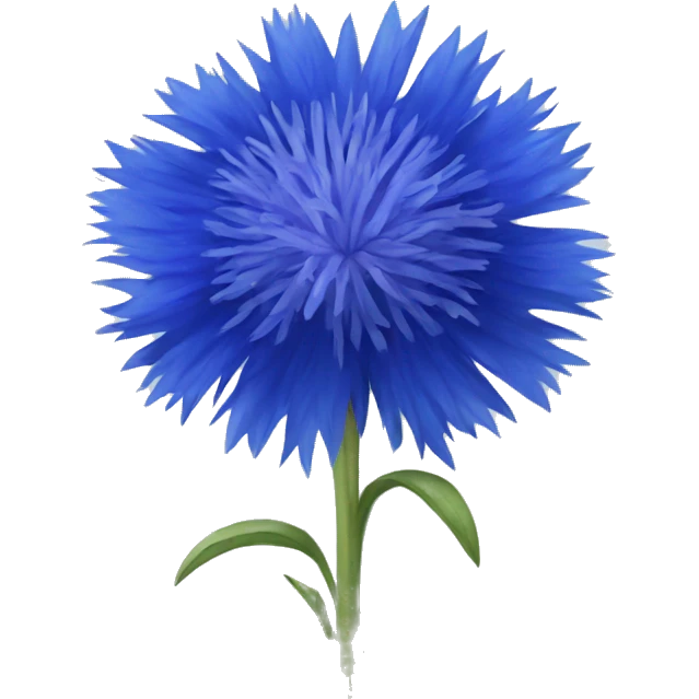 blue cornflower emoji