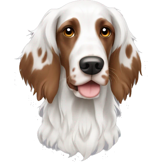 White and brown english setter with complete Brown ears  emoji