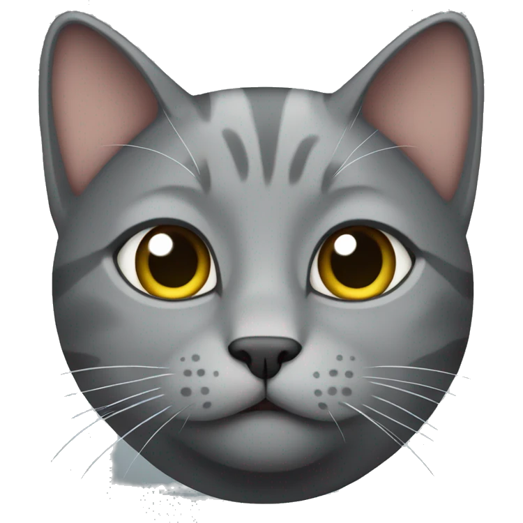a gray cat says yes emoji