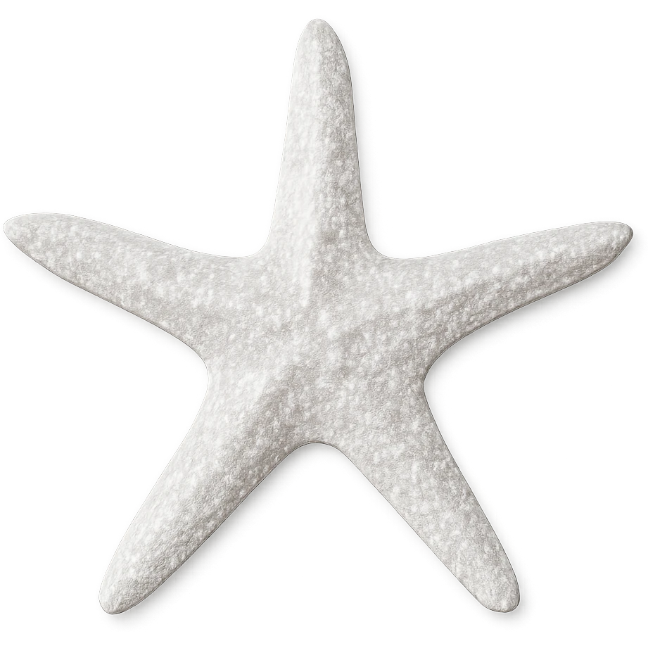 sparkly white starfish emoji