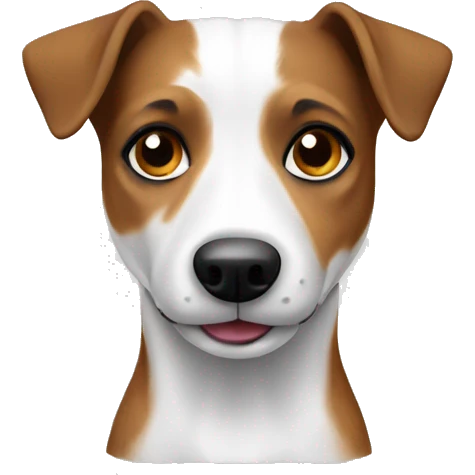 Jack Russel brown and white  emoji