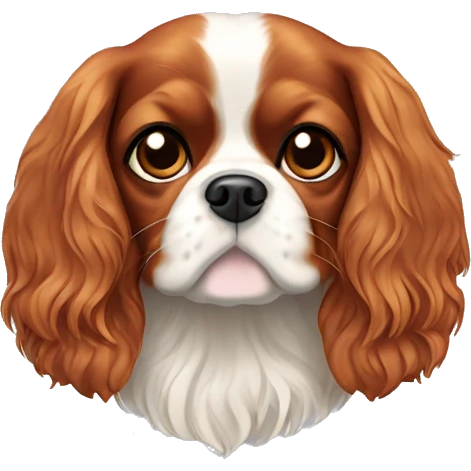 Cavalier King Charles Spaniel emoji