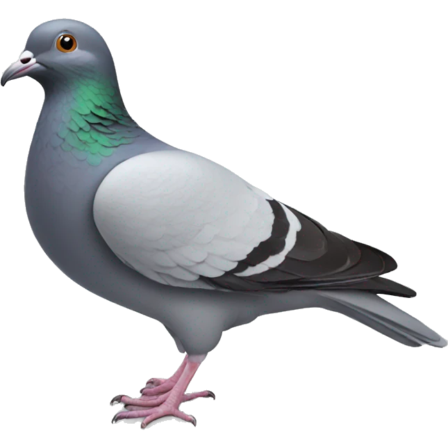 Pigeon  emoji