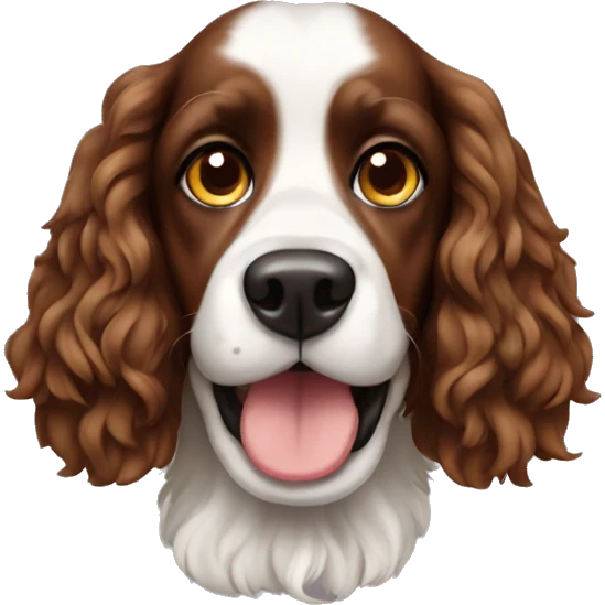 Cooker spaniel emoji