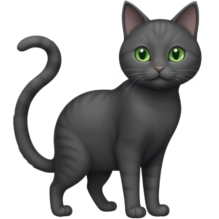 full body gorgeous solid dark grey cat with green eyes, white paws and white whiskers playing emoji