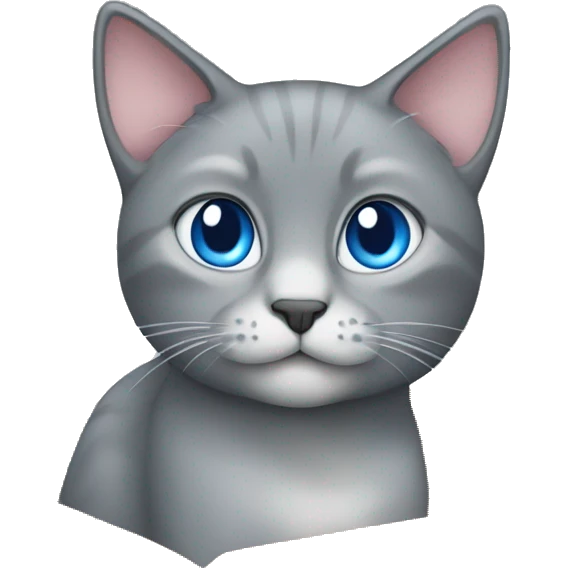 grey cat blue eyes sitting in the box  emoji