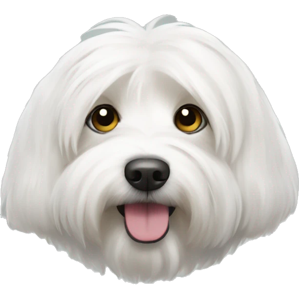 coton de tulear emoji