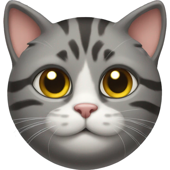 Cat Litter emoji