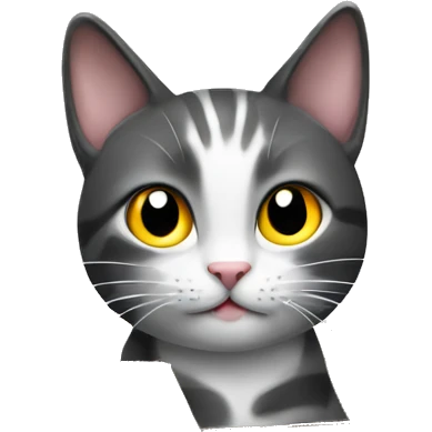 cat delivery and applicaion, happy emoji