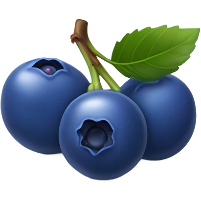 Blueberries  emoji