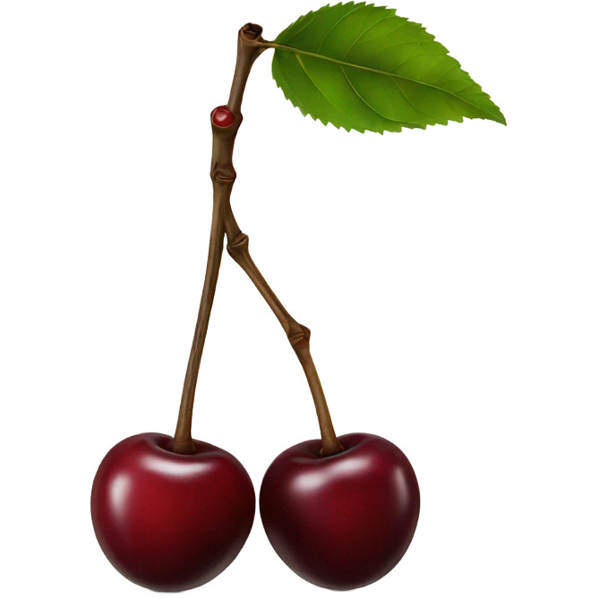 two burgundy cherries on black stem emoji