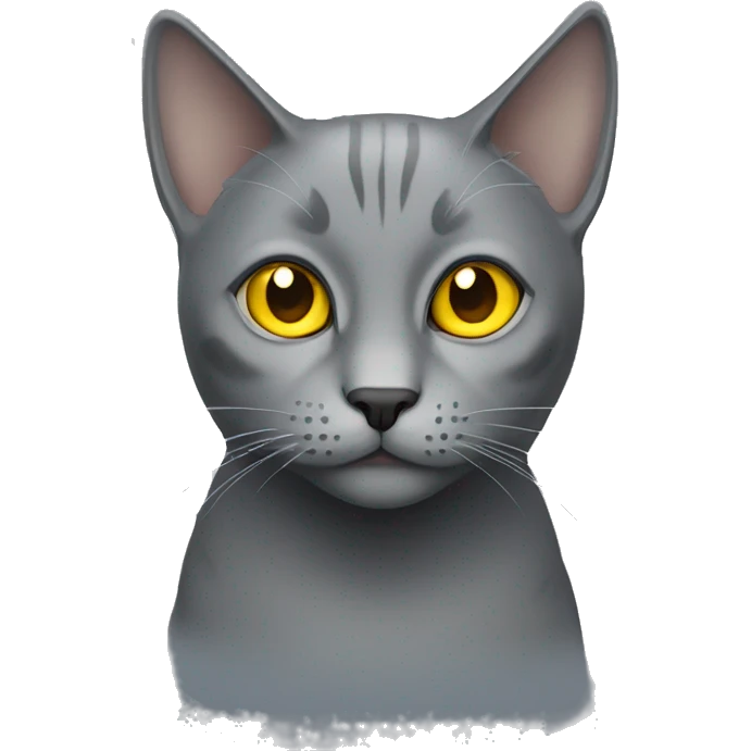 grey cat with yellow eyes  emoji