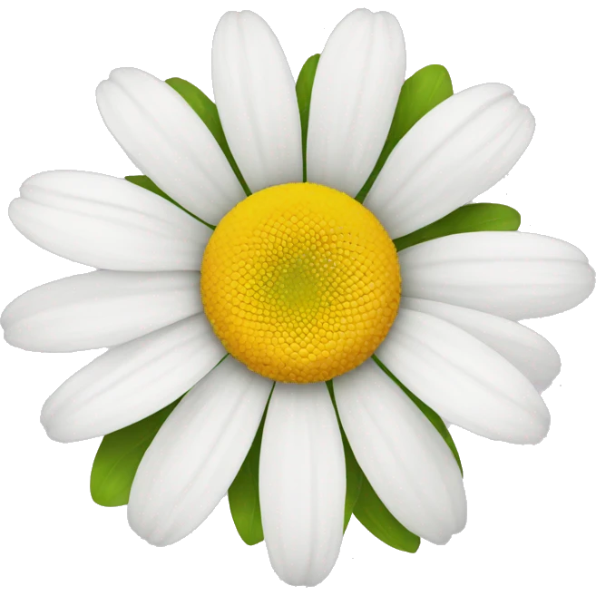 Daisy flower  emoji