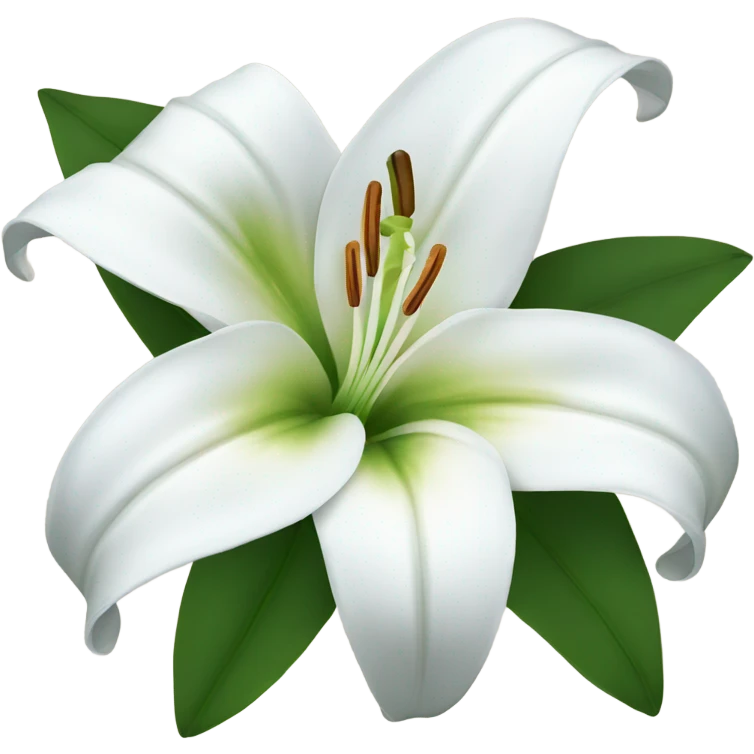 white lily flower  emoji