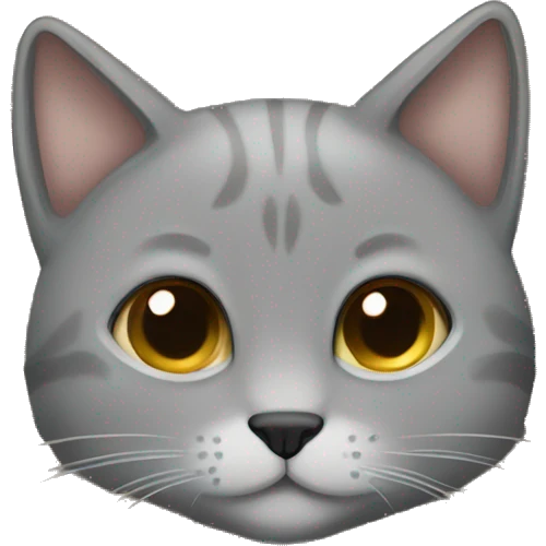 Grey cat Cozy in beige blanket emoji