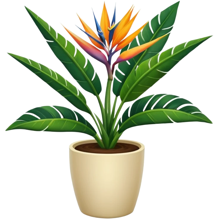Bird of paradise leafy plant in cream pot  emoji