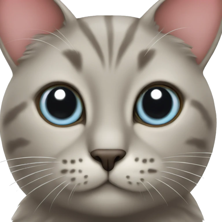 A cat with big eyes holds a heart emoji