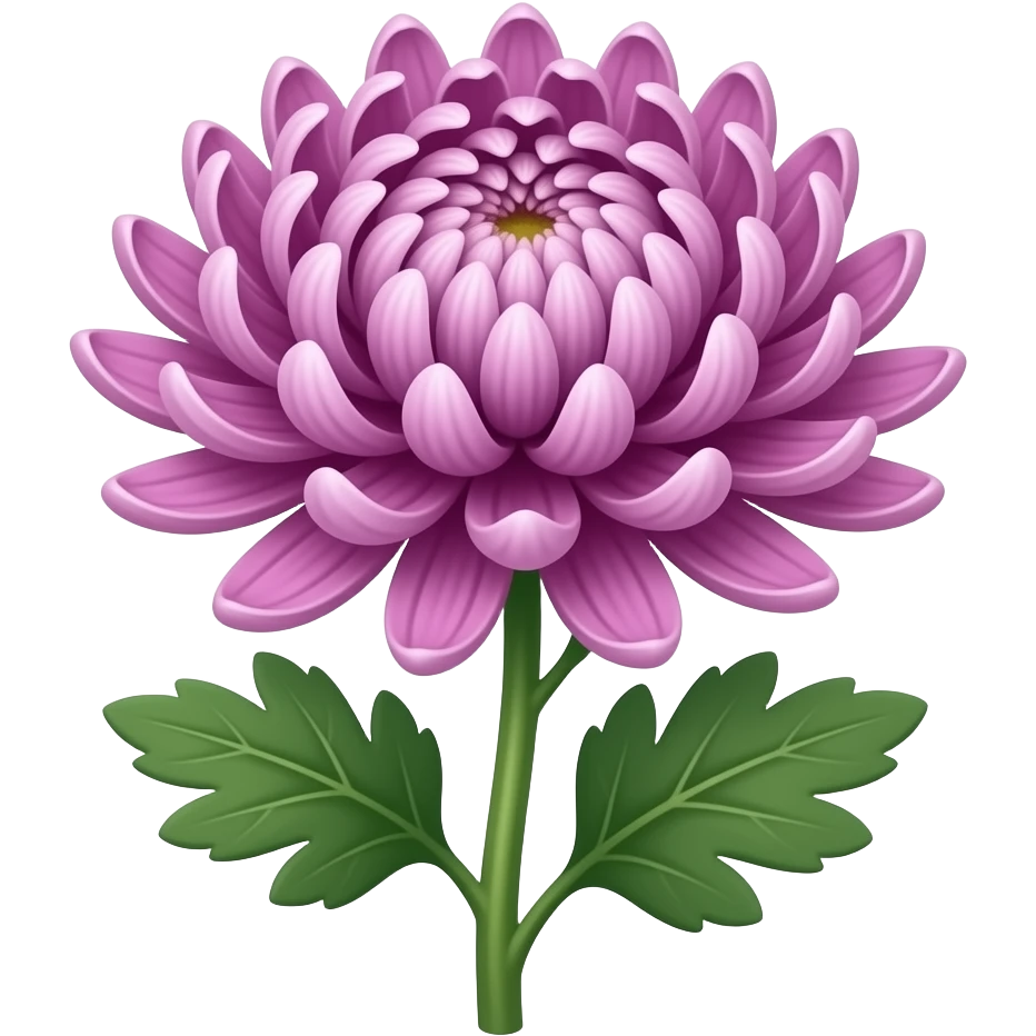 Elegant Mauve japanese chrysanthemum with stem and leaves emoji