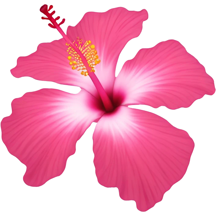 Pink hibiscus flower emoji
