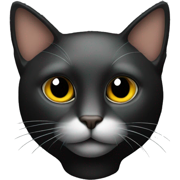 black background with a cat head transparent emoji