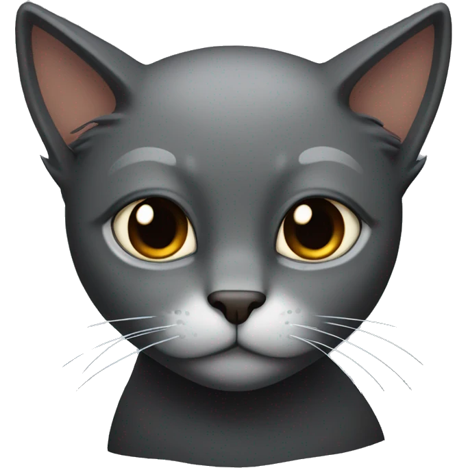 black cat with brown eyes and a broken tail emoji
