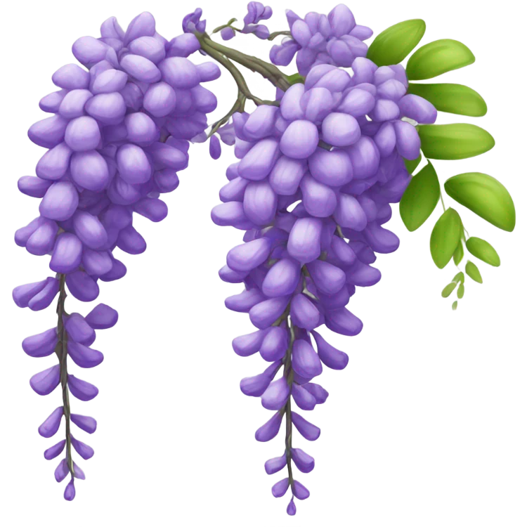 Wisteria plant  emoji